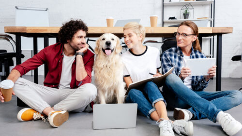 Der Hund im Büro