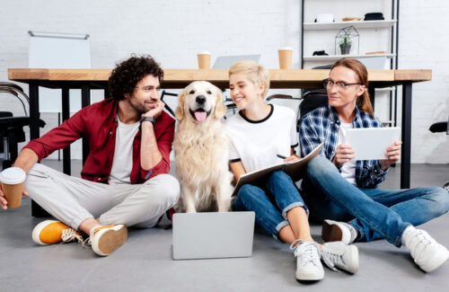Der Hund im Büro